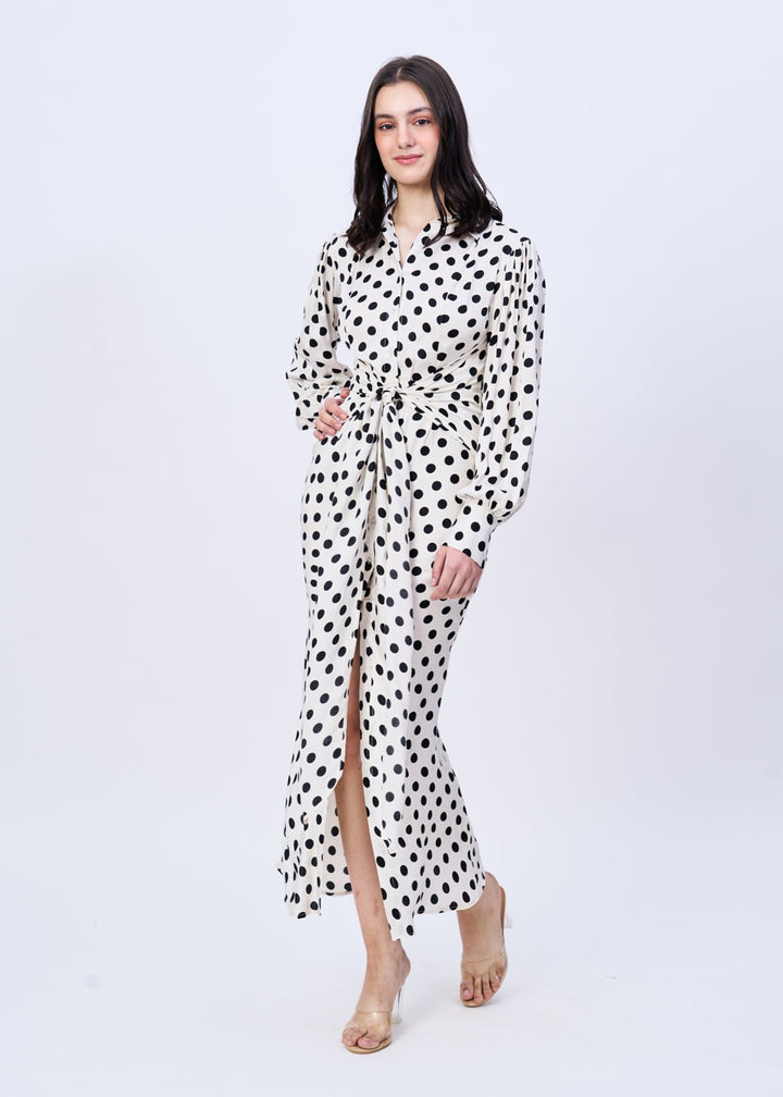 Penny (polka dot shirt dress)
